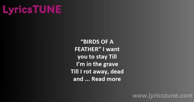 birds of a feather lyrics billie eilish lyrics8220birds of a feather8221 lyrics - what was i made for lyrics