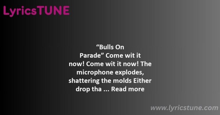 bulls on parade lyrics rage against the machine lyrics 8220bulls on parade8221 lyrics - killing in the name lyrics