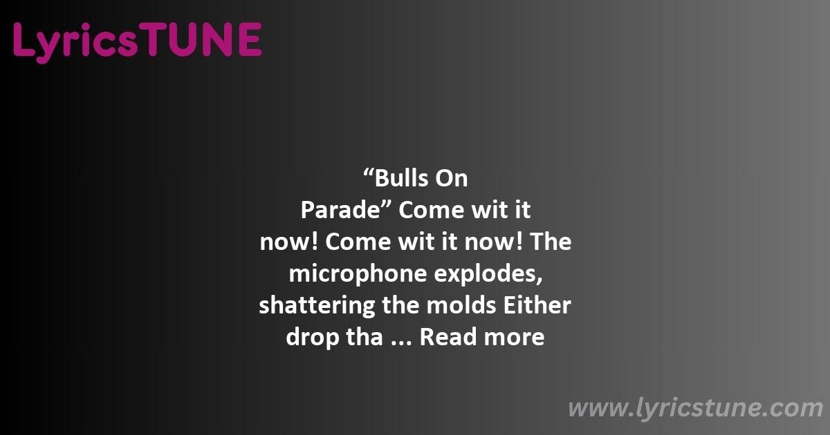 bulls on parade lyrics rage against the machine lyrics 8220bulls on parade8221 lyrics - bulls on parade lyrics