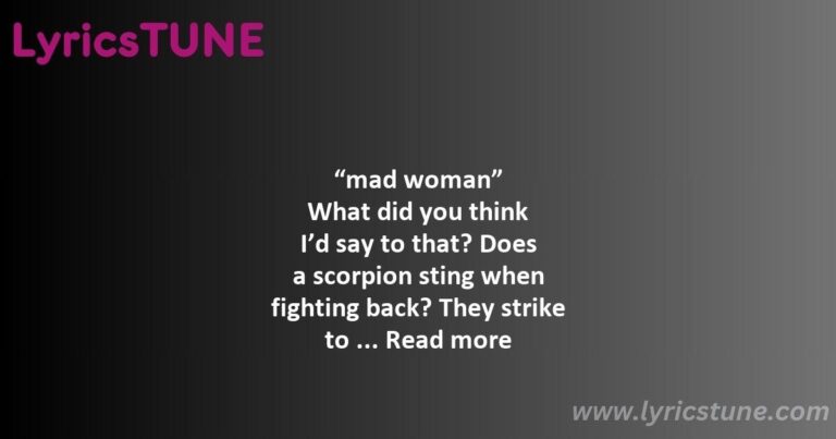 mad woman lyrics taylor swift lyrics 8220mad woman8221 lyrics - ready for it lyrics