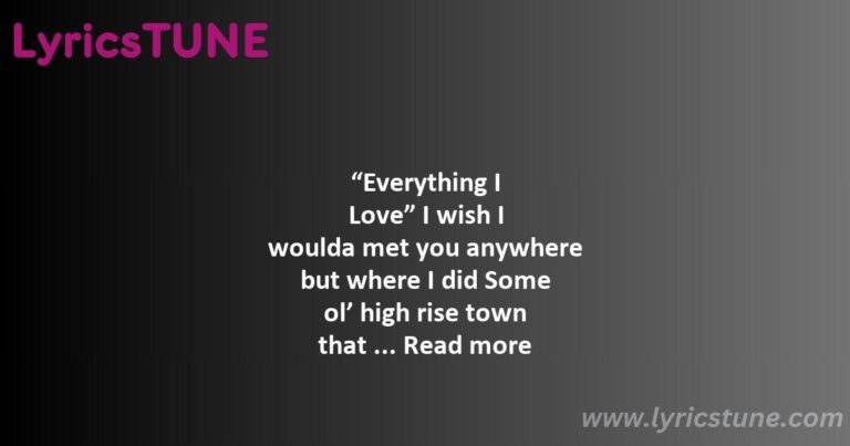 morgan wallen everything i love lyrics morgan wallen lyrics 8220everything i love8221 lyrics - morgan wallen thinkin’ bout me lyrics