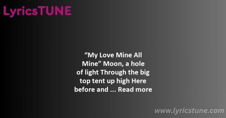 my love mine all mine lyrics mitski lyrics 8220my love mine all mine8221 lyrics - class of 2013 lyrics