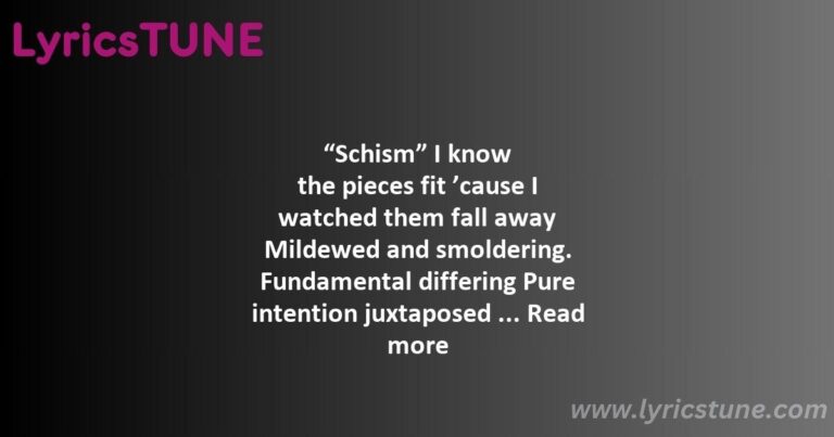 schism lyrics tool lyrics 8220schism8221 lyrics - rosetta stoned lyrics