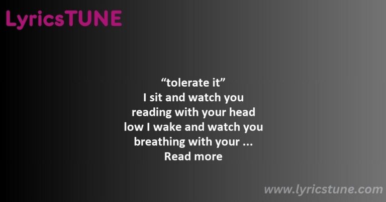 tolerate it lyrics taylor swift lyrics 8220tolerate it8221 lyrics - look what you made me do lyrics