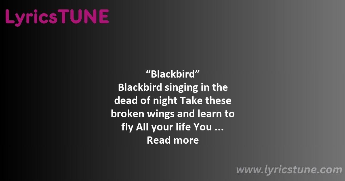 blackbird lyrics the beatles lyrics 8220blackbird8221 lyrics - blackbird lyrics