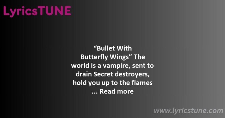 bullet with butterfly wings lyrics smashing pumpkins lyrics 8220bullet with butterfly wings8221 lyrics - bullet with butterfly wings lyrics