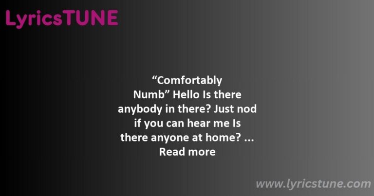 comfortably numb lyrics pink floyd lyrics 8220comfortably numb8221 lyrics - time pink floyd lyrics