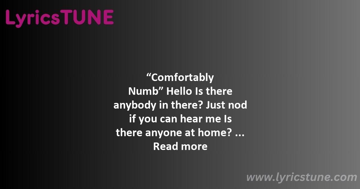 comfortably numb lyrics pink floyd lyrics 8220comfortably numb8221 lyrics - comfortably numb lyrics