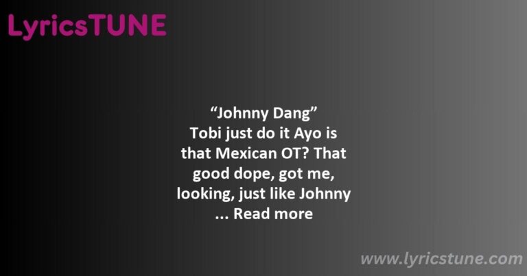 johnny dang lyrics that mexican ot paul wall 038 drodi lyrics 8220johnny dang8221 lyrics - johnny dang lyrics