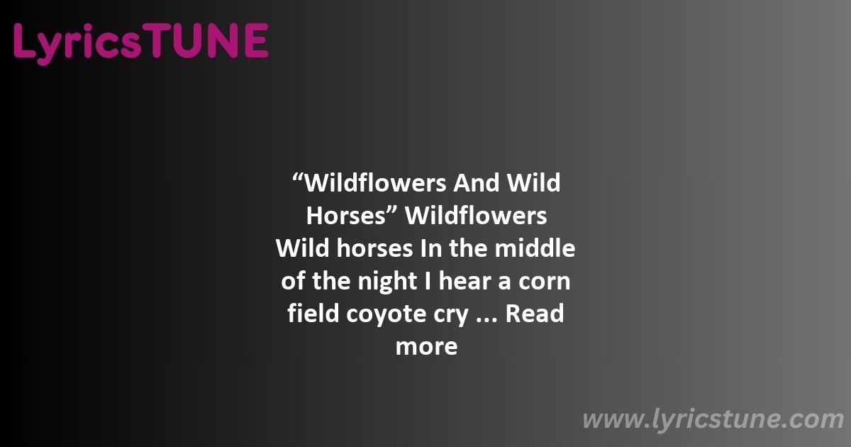 lainey wilson wildflowers and wild horses lyrics lainey wilson lyrics 8220wildflowers and wild horses8221 lyrics - lainey wilson wildflowers and wild horses lyrics