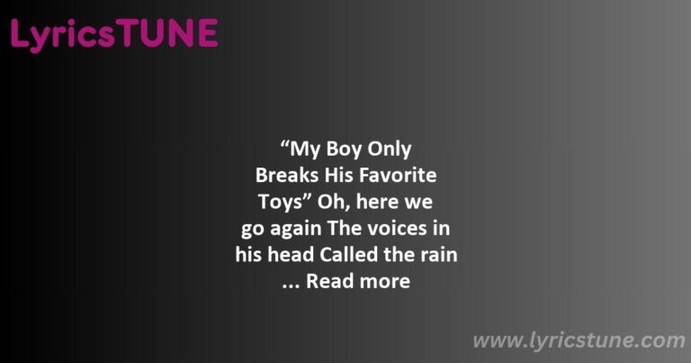 my boy only breaks his favorite toys lyrics taylor swift lyrics 8220my boy only breaks his favorite toys8221 lyrics - taylor swift exile lyrics