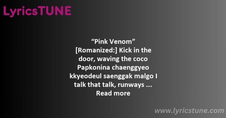 pink venom lyrics blackpink lyrics 8220pink venom8221 - pink venom lyrics