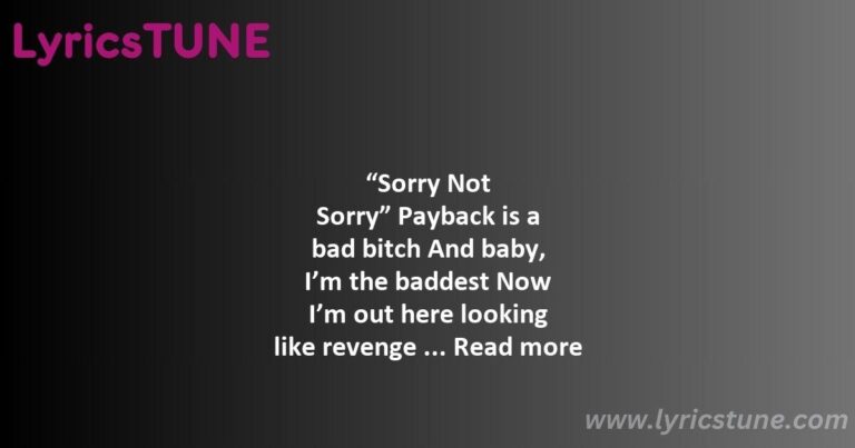 sorry not sorry lyrics demi lovato lyrics 8220sorry not sorry8221 lyrics - sorry not sorry lyrics