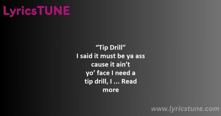 tip drill lyrics nelly lyrics 8220tip drill8221 lyrics - shimmy shimmy cocoa puff nelly lyrics