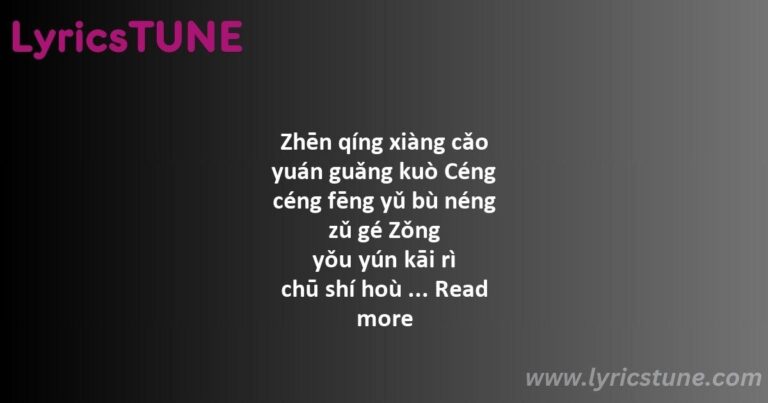 xue hua piao piao lyrics - O Praise The Name Lyrics